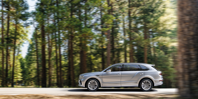 Bentley Kaohsiung Bentley Bentayga Extended Wheelbase SUV in Moonbeam paint driving dynamically on a forest road